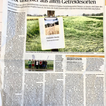 Artikel Rheinische Post